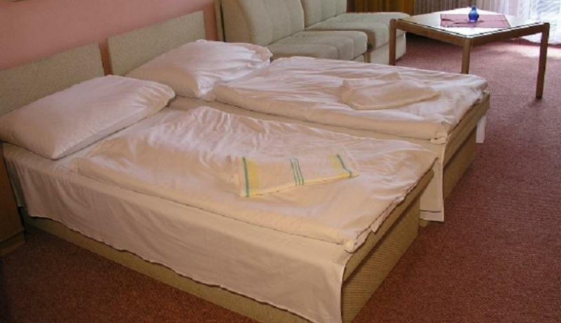 Hotel FONTÁNA Horní Planá - Rodinné apartmá